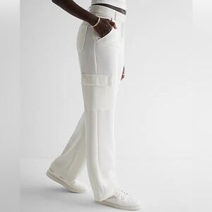 Express High Rise wide leg pants 6L